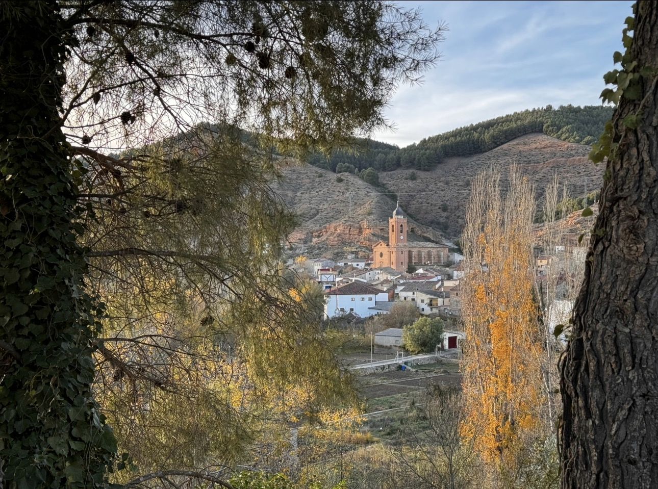 El pueblo de Tosos con su campanario rojizo asomando entre los pinos y los álamos en otoño