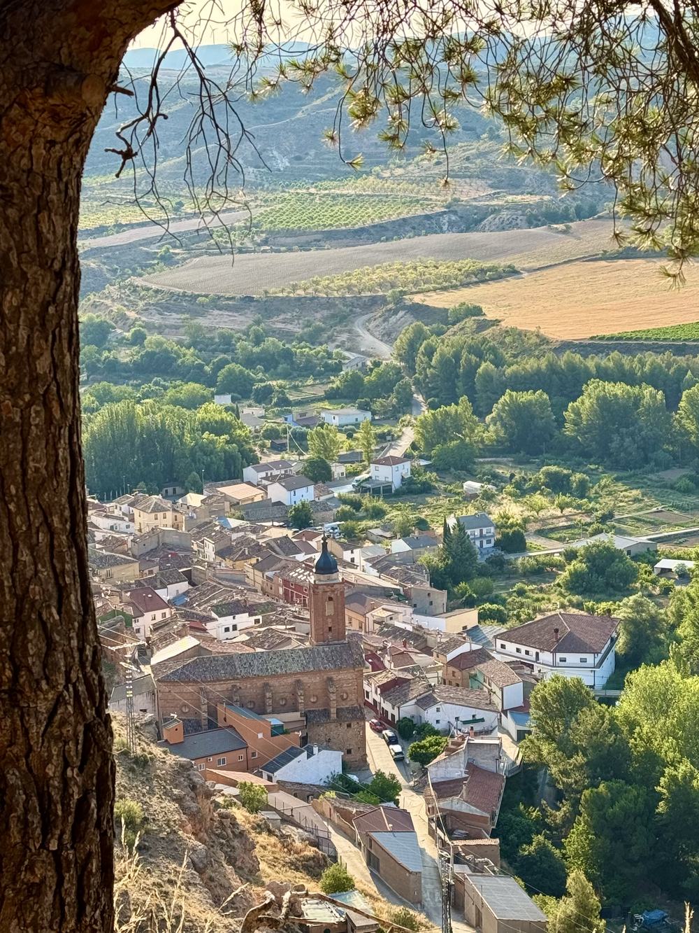 Tosos y el valle del Huerva vistos desde el mirador del Futuro, enmarcados por un pino